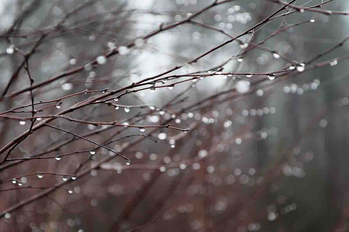 从线性系统的视角看电磁势场的三类方程